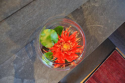 EVERGREEN SCHOOL SOCIAL